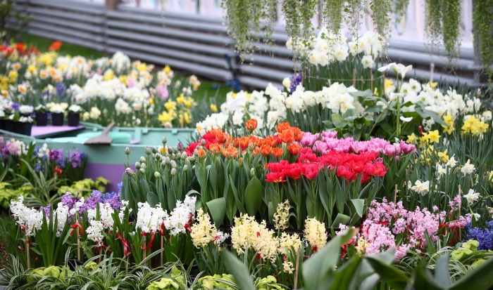 Волгоградский ботанический сад будет принимать посетителей по субботам