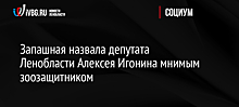 Запашная назвала депутата Ленобласти Алексея Игонина мнимым зоозащитником