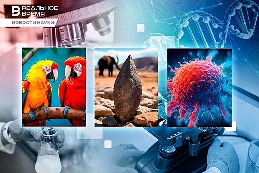 Вакцина от рака, культура попугаев и "магические заклинания" юристов