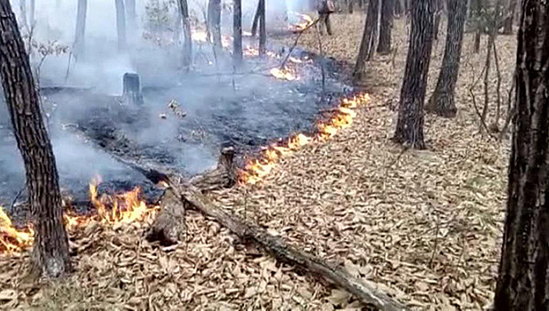 В Магаданской области горят свыше 4 000 гектаров леса