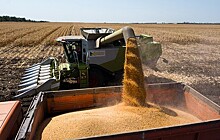 В Ленобласти собрали рекордный урожай зерна