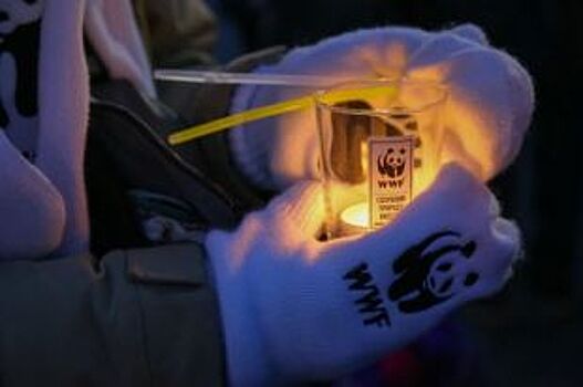 В Оренбурге в день «Часа Земли» состоится заезд «Велосветлички»