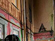 СК: в Петербурге задержали мужчину, пытавшегося сжечь подвал художника Нельсона