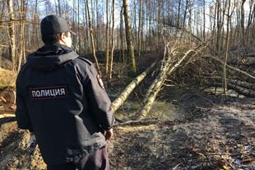 Жителя Спасска-Дальнего осудили за незаконную вырубку леса