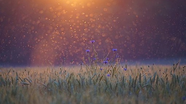 Приметы на 22 июня: что нельзя делать в этот день