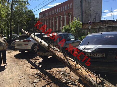 Три машины помяло упавшим деревом