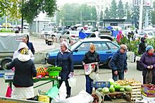 Ярмарка разочарований. Цены на овощи на ярмарках Уфы выше магазинных