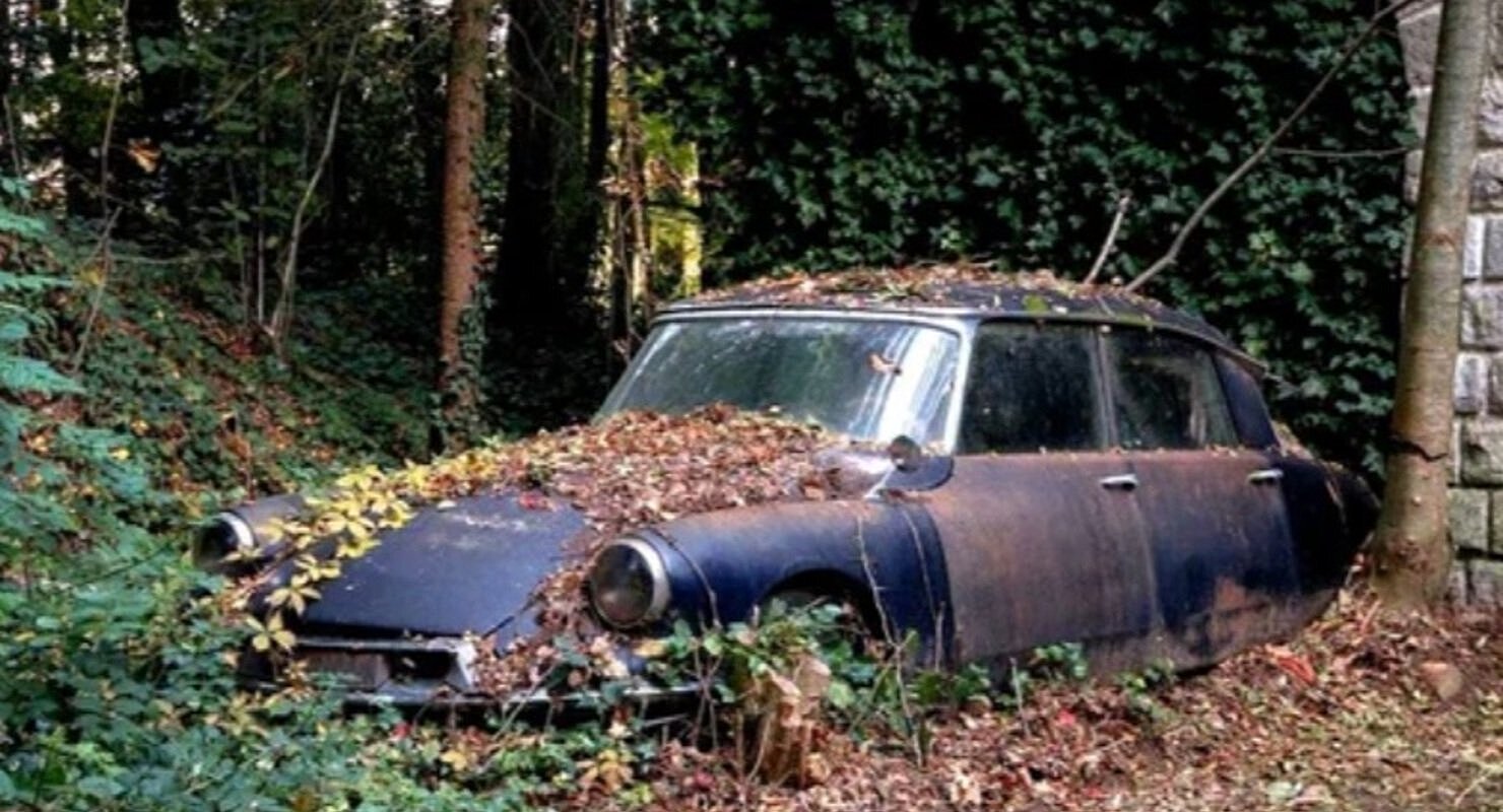 Снимки заброшенных машин: От советских «Волг» до дорогих Ferrari и Lamborghini