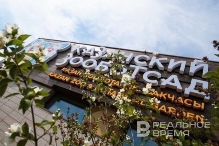 230 претендентов поборются за кресло директора Казанского зооботсада