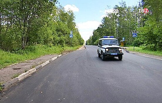 В Подмосковье нашли заблудившегося в лесу пенсионера-грибника