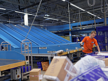 Размер имеет значение: почему в магазинах трудно купить хорошую картошку