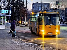 Прокуратура Владивостока разбирается с автобусным перевозчиком, на чьём маршруте сломала ребро пенсионерка