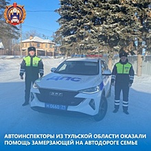 Автоинспекторы из Тульской области оказали помощь замерзающей на автодороге семье