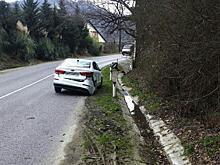 В Сочи дети пострадали в ДТП из-за собаки