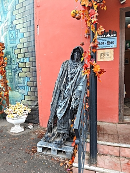 Дементора отдают в добрые руки в Костроме