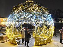 Собянин подвел итоги новогодних мероприятий в Москве