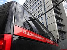 СК возбудил дела о попытках разместить фото нацистов во время акции "Бессмертный полк"