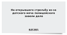 На открывшего стрельбу из-за детского мяча полицейского завели дело