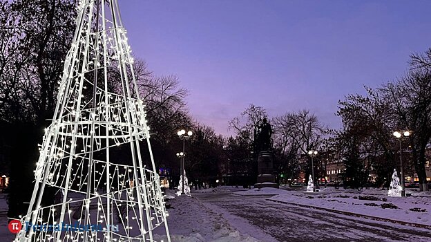 К Новому году в центре Пензы установят более 40 светодиодных елок