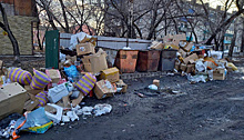 Мэр Белогорска попросил горожан с пониманием отнестись к мусорному коллапсу