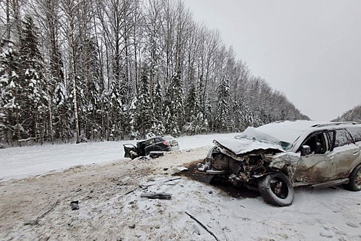 Два человека погибли и трое пострадали в ДТП в Костромской области