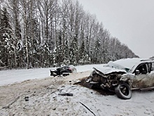 Два человека погибли и трое пострадали в ДТП в Костромской области