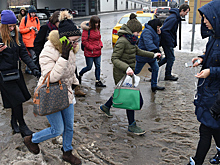 МЧС предупредило о сильном ветре и мокром снеге в Москве