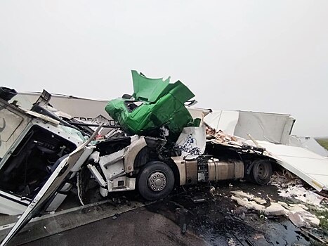 Ценного иностранного специалиста отправили в колонию за ДТП с фурами под Новосибирском