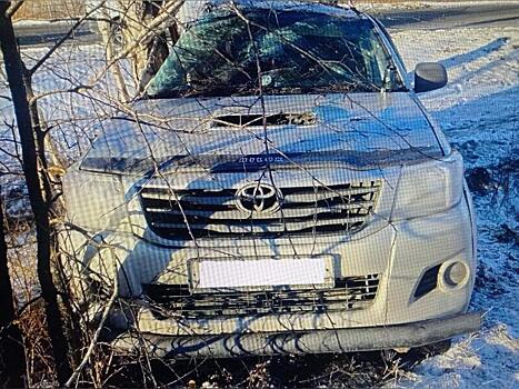 На трассе «Иркутск – Чита» водитель Toyota Hilux наехал на дерево