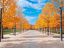 Мягкое, устойчивое тепло: прогноз на начало ноября в Краснодарском крае