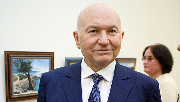 Лужков оценил идею объединения Москвы с областью