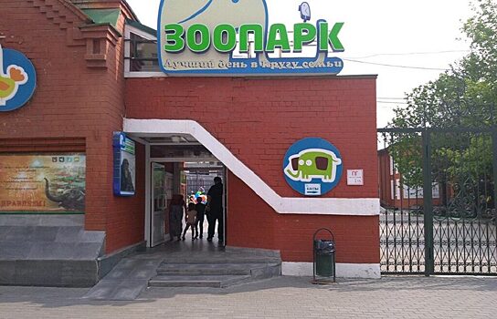В зоопарке Екатеринбурга выбирают Зоо-мистера – 2021