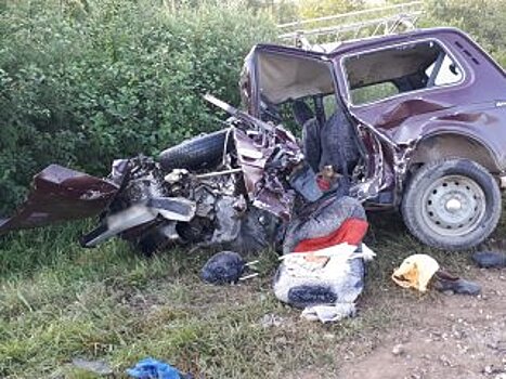 Страшное ДТП в Башкирии лишило жизни троих человек