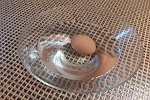 Диетолог назвала способ определить свежесть яиц