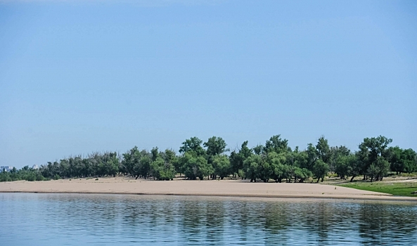 В Волгограде сверили ход работы по реабилитации рек