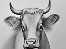 Костромская порода КРС должна получить дальнейшее развитие при поддержке агронауки