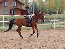 В Тверской области волонтёрам отряда "Сова" помогать в поисках заблудившихся людей будут всадники на лошадях