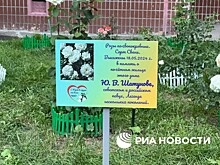 Юре Шатунову снова подарили белые розы