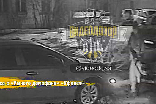 В Башкирии на видео попало, как мужчина битой разбил авто и избил его владельца