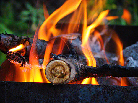 В Саратовской области на годовалом ребёнке во время пикника загорелась одежда