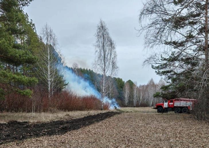 Шашлычники устроили пожар в парке Синягина под Новосибирском