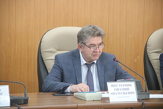 Мэр Бердска Шестернин за прошлый год заработал около трех миллионов рублей