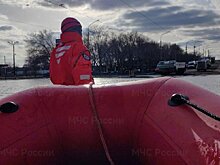 В прорыве дамбы в Орске обвинили грызунов