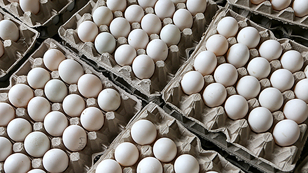 Импортозамещение добралось до яиц и семян