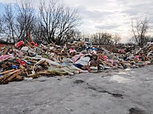Организаторы незаконной свалки задержаны в Одинцовском округе