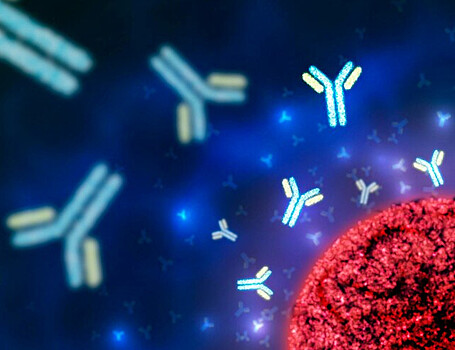 Исследованы отличия антител у здоровых людей и аллергиков