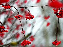 Аномалии погоды-2019: Октябрь отравит жизнь половине России