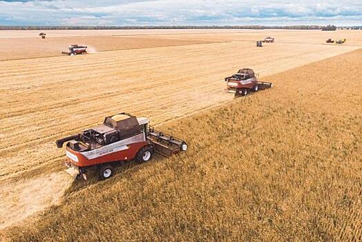 Тюменские сельхозпроизводители экспортировали более 9 тысяч тонн зерна