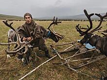 Тревел-фотограф поделился, чему можно научиться у кочевников Ямала