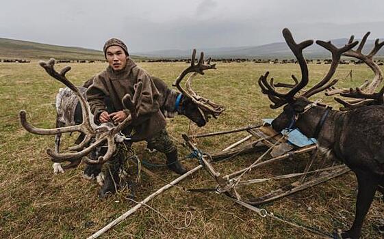 Тревел-фотограф поделился, чему можно научиться у кочевников Ямала